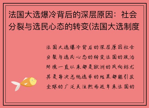法国大选爆冷背后的深层原因：社会分裂与选民心态的转变(法国大选制度)