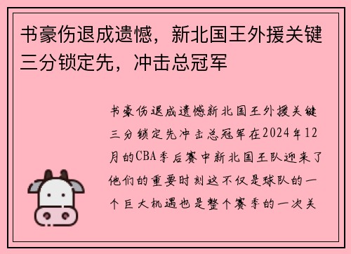 书豪伤退成遗憾，新北国王外援关键三分锁定先，冲击总冠军